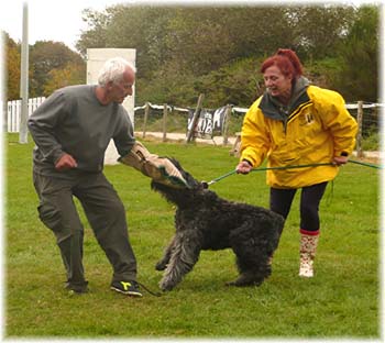 Elevage du CLOS DE LA LUETTE - COPYRIGHT DEPOSE